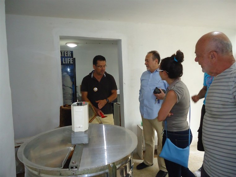 9th Annual Honey Harvest Event 